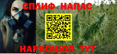 сатива Бугуруслан