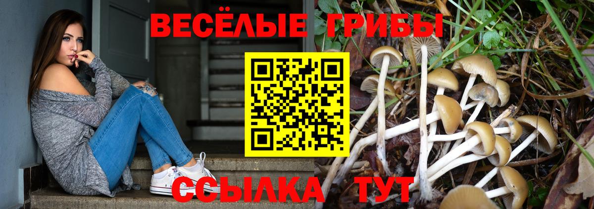 Приморско-Ахтарск  Галлюциногенные грибы ЛСД  Галлюциногенные грибы GOLDEN TEACHER  Вход с VPN 
