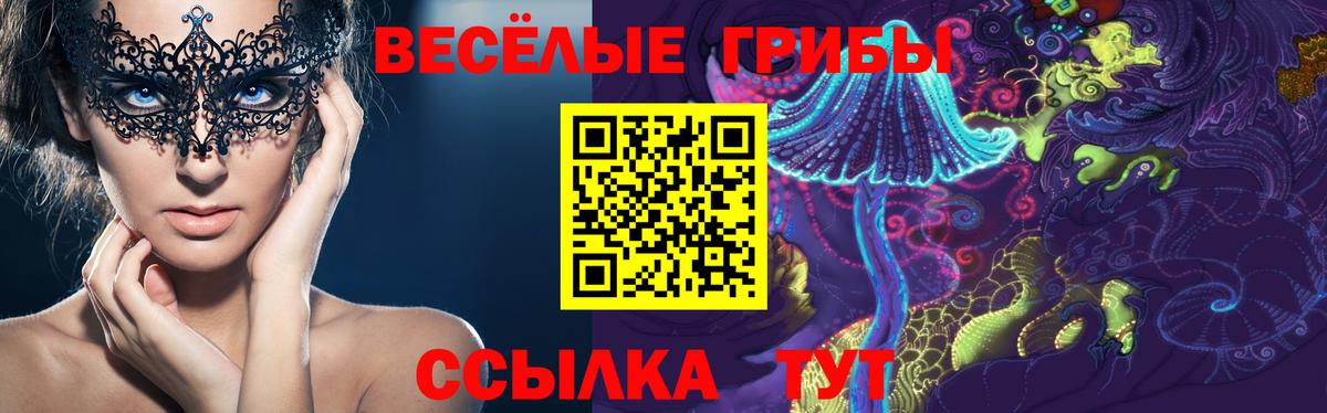Галлюциногенные грибы Psilocybe Приморско-Ахтарск